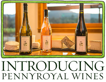 Introducing Pennyroyal Wines